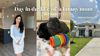 Day in the life of a bunny mom | Touring homes, life update, 3rd bunny?