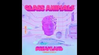 Glass Animal - Heat Waves ( Radio Edit)