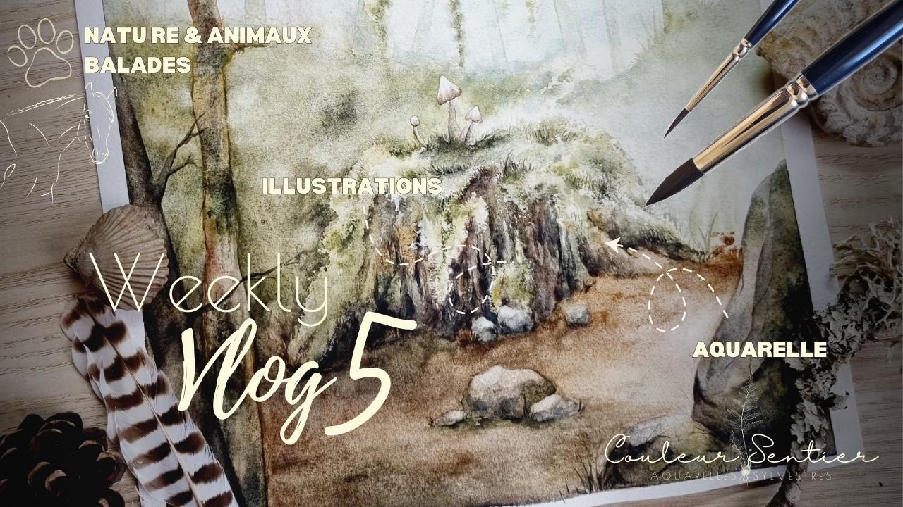 Vlog5 : Naissance d’une illustration, commande spéciale 🐿️, et un au-revoir 😔…