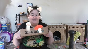 Kitnip  Box (Meowlloween) October 2025 Unboxing! 🎃😻
