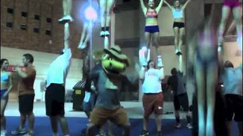 Harlem Shake (Texas Cheer Edition)