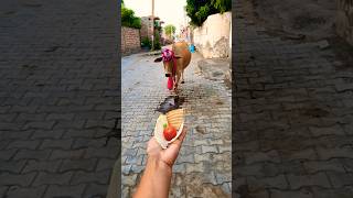 Meri gaiya aati hai mujhko doodh pilati hai #merigaiyaaatihai #cowvideos ##gaiyamerigaiya #cow #cows