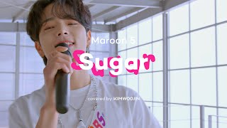 김우진 KIM WOOJIN - Sugar (Maroon 5) | Cover Live