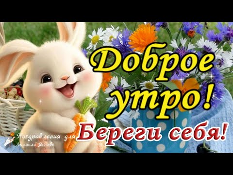 ☕️🍬 Доброе утро! Счастливого дня! Береги себя! Утренний Позитив для Друзей!