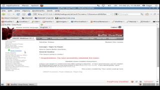 Unisinos, WEBGOAT - Buffer Overflow