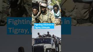 Fighting resumes in Tigray , Ethiopia