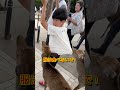奈良公園で鹿せんべい買った瞬間に終わった#shorts