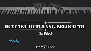 Vignette de la vidéo "Ikat Aku Di Tulang Belikatmu (MALE KEY) Sal Priadi (KARAOKE PIANO)"