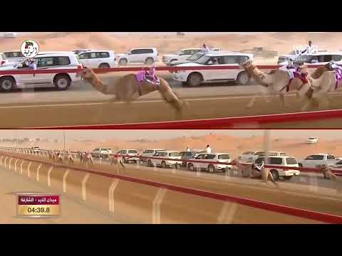 الشوط 12 حدث ل سعود مانع بن سبعان العجمي 5 56 4 مهرجان محمد بن زايد 2021 12 26 حقايق الذيد