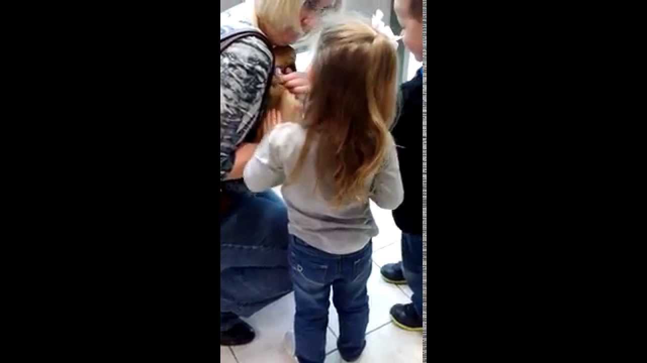 Petland Novi Pet Store in Twelve Oaks Mall Novi YouTube