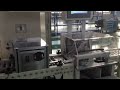 surface grinding pump valve plate，double disc grinding machine solution#grinder #manufacturing