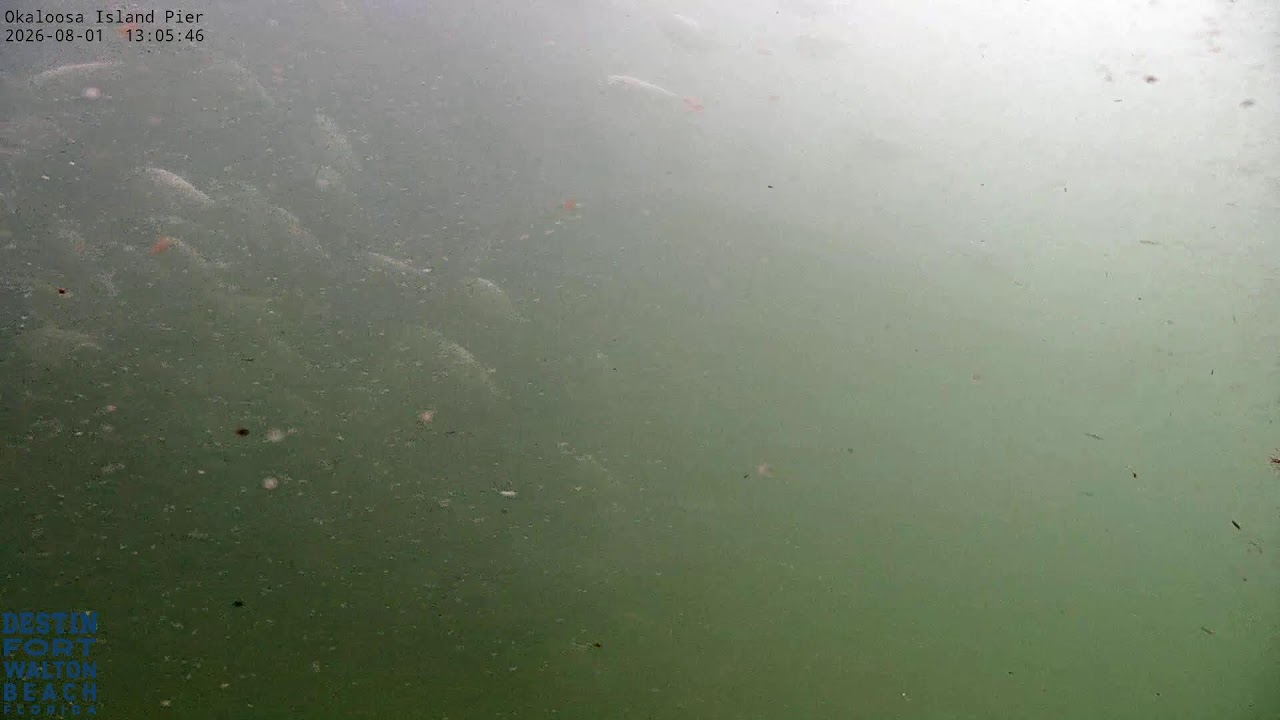 Okaloosa Island Pier Camera