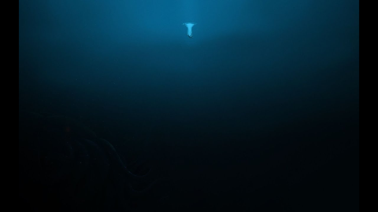 Вся суть дс2 (feat. Solmyr)