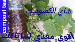 شاي الكمبوست أفضل سماد طبيعي لجميع النبتات#meilleur thé de compost fait à la maison