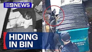Police Dog Catches Alleged Pub Robber Hiding In Rubbish Bin 9 News Australia