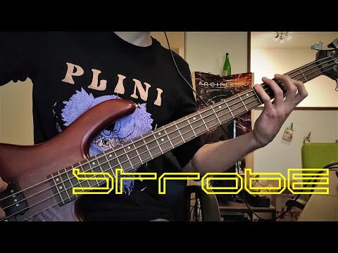 deadmau5---strobe-(sparkee)-[bass-cover]