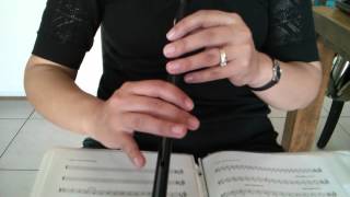 Basic Scale on Practice Chanter