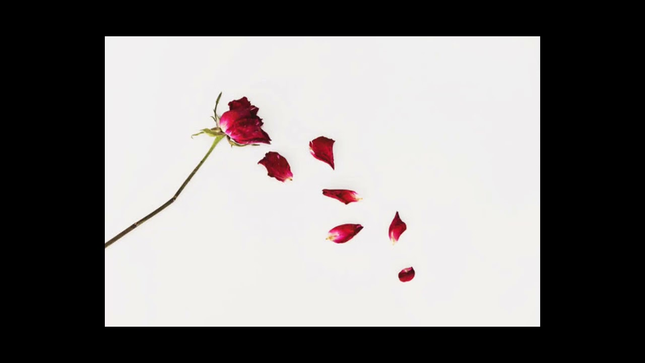 New song named withering away