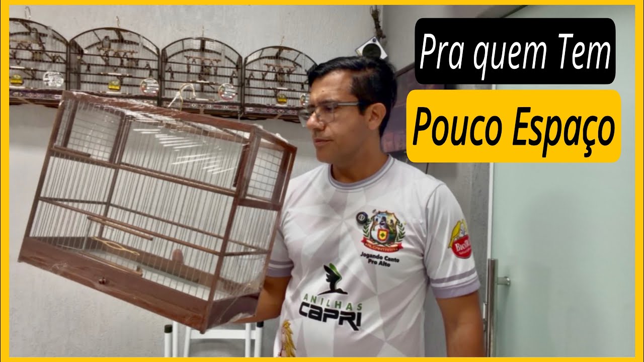 Gaiola Reduzida Para Criar Coleiro Papa-Capim 🐦 | Ideal Pra Quem Tem Pouco Espaço