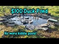 Ultra low-maintenance DIY duck and goose pond