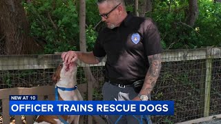 K9 officer trains rescue dogs for adoption