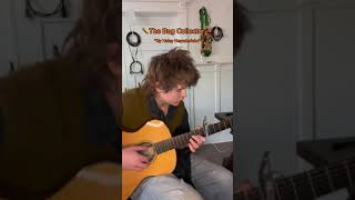 Haley Heynderickx - The Bug Collector (Cover Pt. 1)