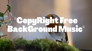 Birds Singing !! Free Birds Natural BackGround Music -(Kings Audio Library)- CopyRight Free Music. screenshot 5