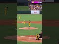 "No Broke Boys" In-Game dance  #bananaball#shortsfeed #thesavannahbananasbaseballteam #dance #trend