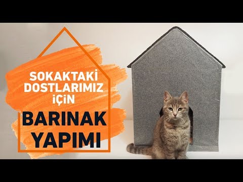 Sokak Hayvanları İçin Barınak Yapımı! Pratik Çözümler | Koçtaş ile Nasıl Yapılır?