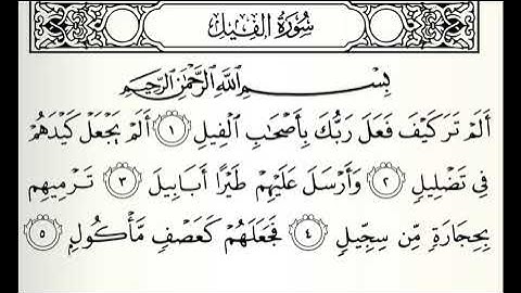 تلاوات مختارة سورة الفيل القارئ محمد البراك
