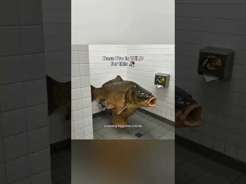 Bass Pro Is WILD For This Bassfishing Fihh Bassangler Bassproshop Fishing Fish Fishcatching