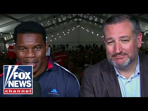 Herschel walker: i’m fighting for the people