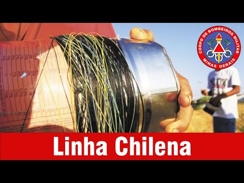 Linha chilena - CUIDADOS