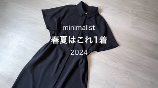 【ミニマリスト】2024春夏はこれ1着