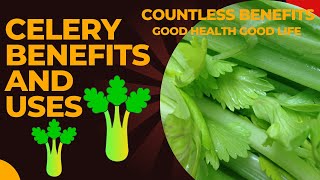Celery Benefits and Uses |Health Benefits of CELERY |THE INCREDIBLE HEALTH BENEFITS OF CELERY