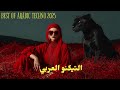 Best Arabic Techno House Mix 2025 Arabic Sufi Vibes Deep Oriental Beats Energy December 