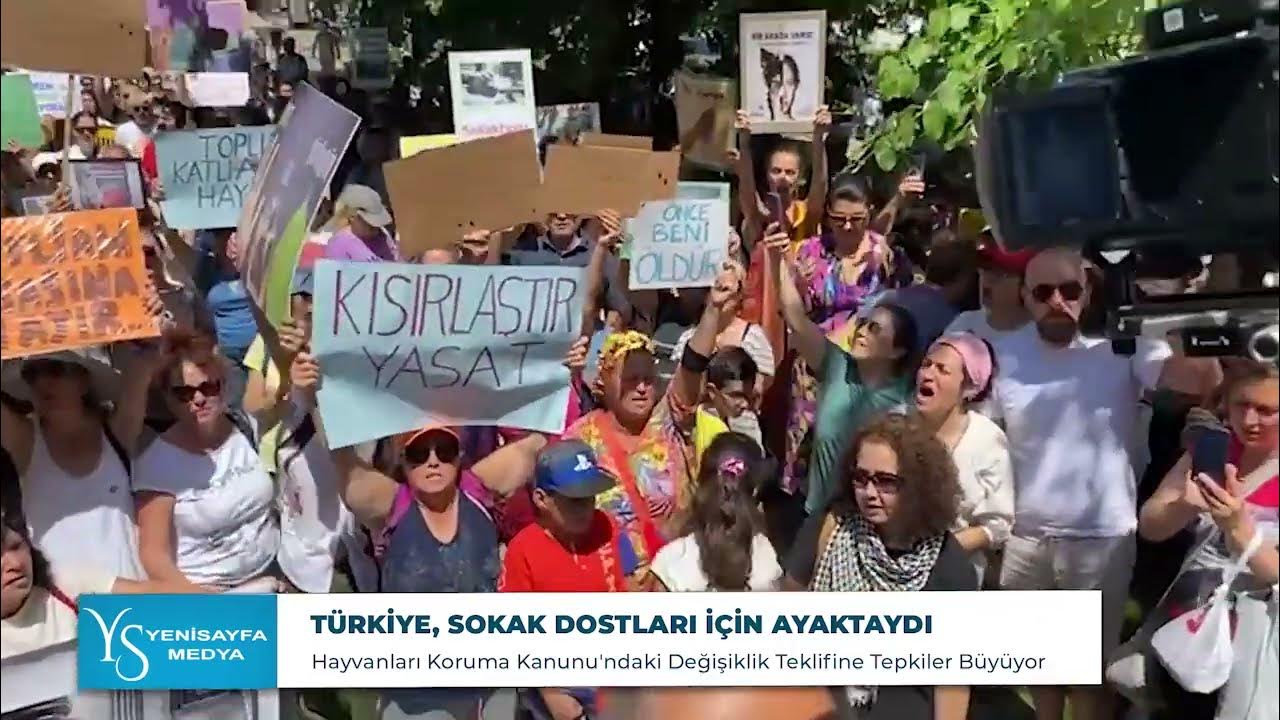 Türkiye, sokak dostları için ayaktaydı