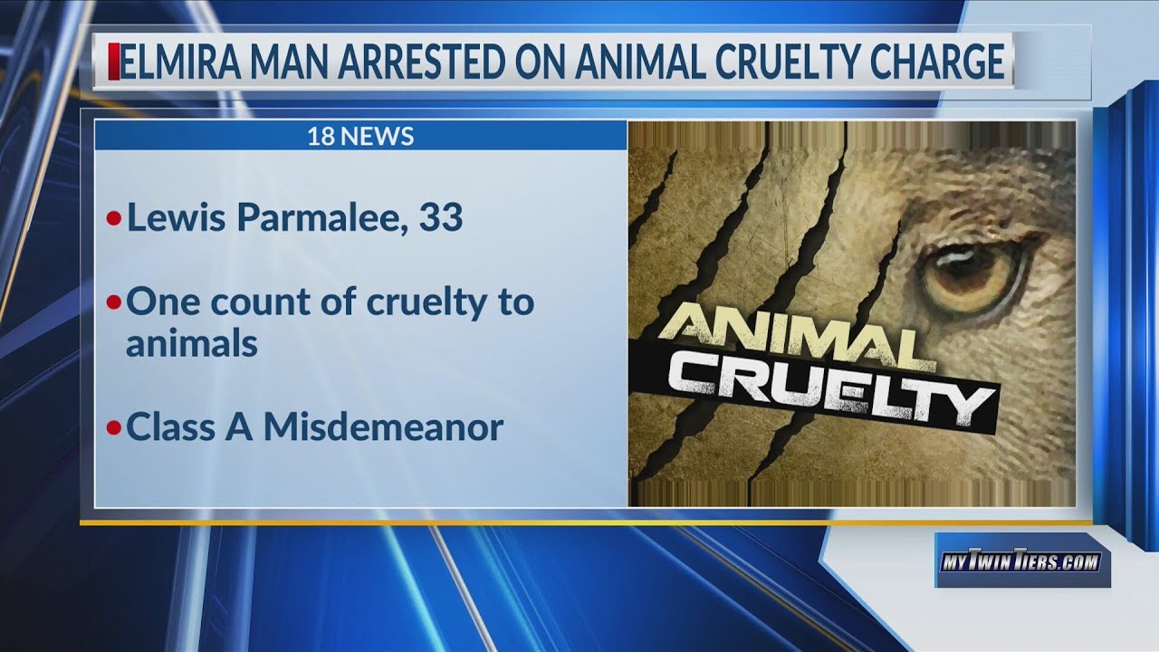 Elmira man arrested on animal cruelty charge - YouTube