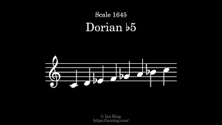 Scale 1645 Dorian Flat 5