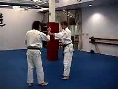 ACE Aikido Clip