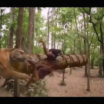 Babo thixo mkhululi wami