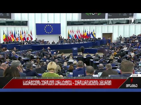 საქართველოს ევროპული პერსპექტივა - ევროპარლამენტის ანგარიში