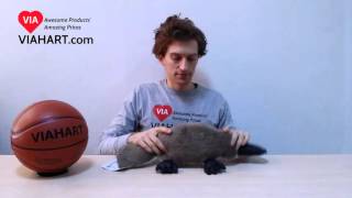 VIAHART 22 Inch Duck-Billed Platypus Stuffed Animal | Patty the Platypus | Video Review
