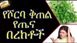 ETHIOPIA - የሾርባ ቅጠል የጤና በረከቶች | Parsley Health Benefits and Side Effects in Amharic screenshot 5