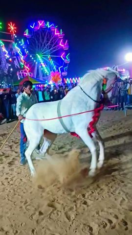 bajrang dal horse dance in delsar #horse #shorts #shortvideo