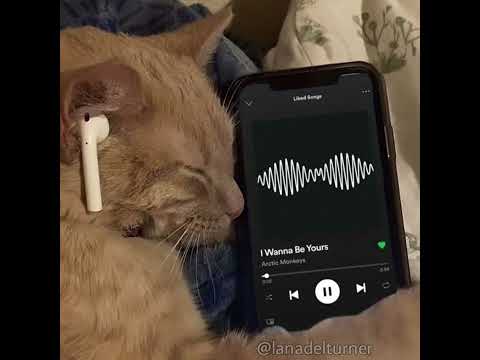 1 Hora De Ritmada Interestelar 