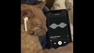 1 hora de ritmada interestelar!