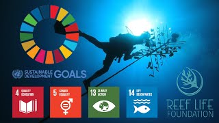 Our Only Shot at Rapid Ocean Restoration 🌊⏰ | United Nations SDGs & IntelliReefs