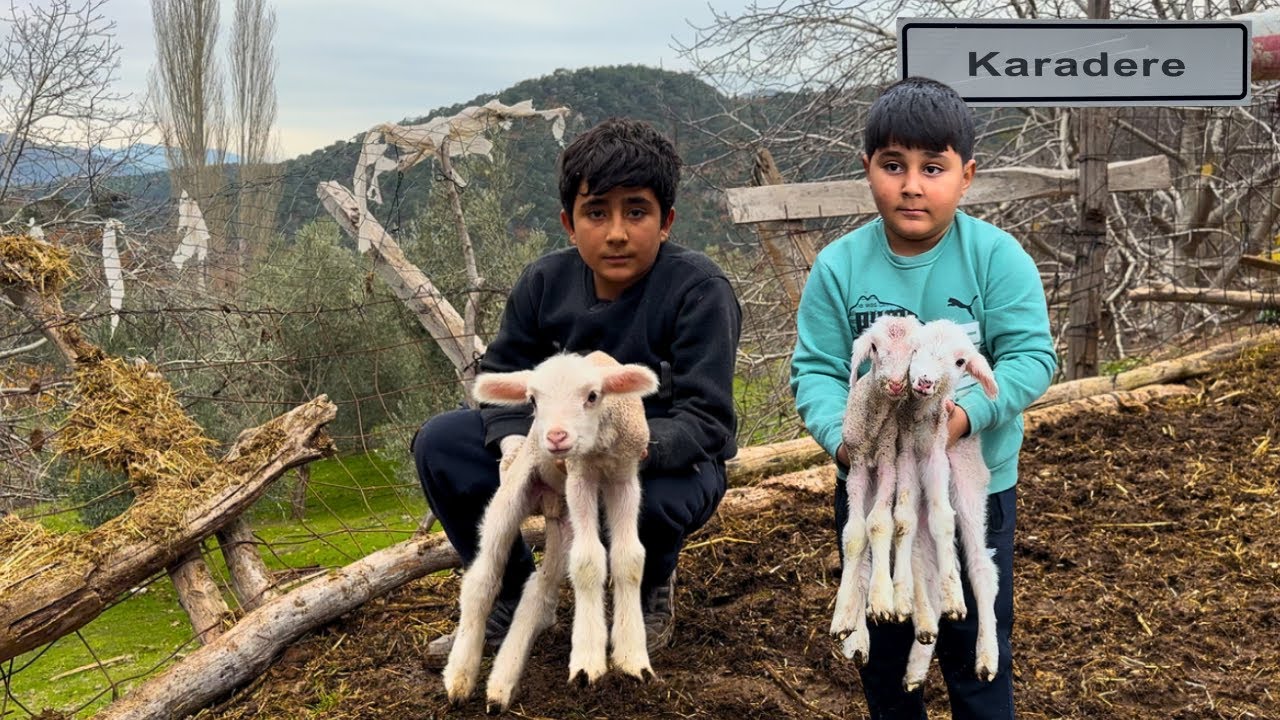 12 Yaşında Çoban İbrahim | Karadere Yaylasında Bir Gün