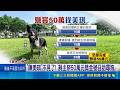 "陳美琪"不見了! 飼主祭50萬元獎金號召助尋狗 科學的盡頭是玄學 民眾問媽祖找"陳美琪"下落|三立新聞網 SETN.com